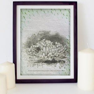 vintage bees‎ digital print  framed 🖼️